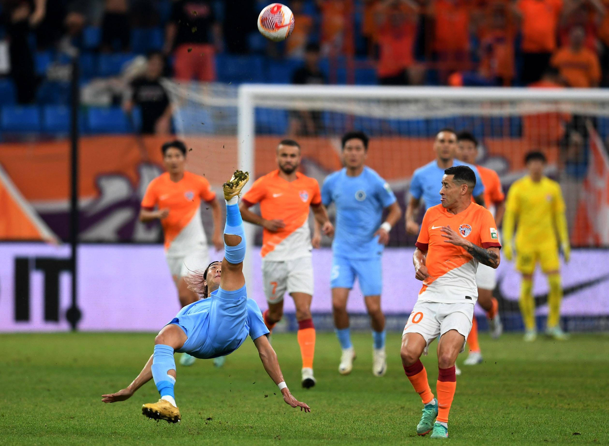 分析他们的 分析他们的